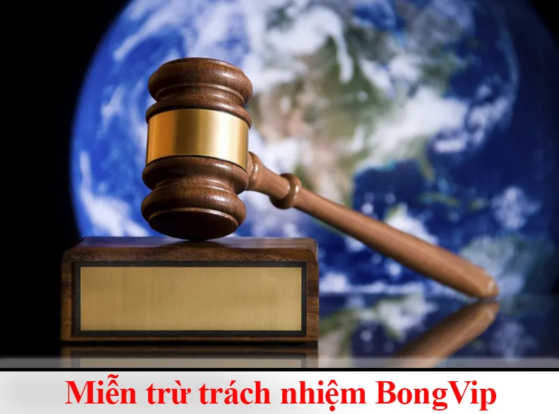 Miễn trừ trách nhiệm